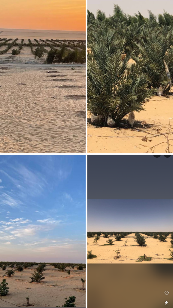 حكاية instagram كولاج صور عصري دافئ عن الشتاء